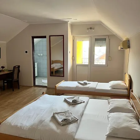 Guest House Vila Bor-2