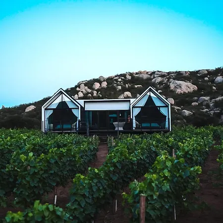 Oeno Wine Lodge Valle De Guadalupe-3