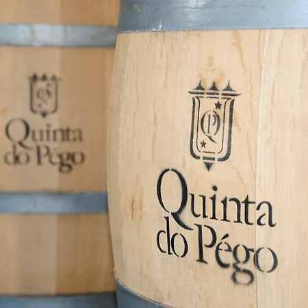 Hotel Rural Quinta Do Pego-2