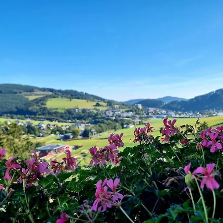 Wald Hotel Willingen-3