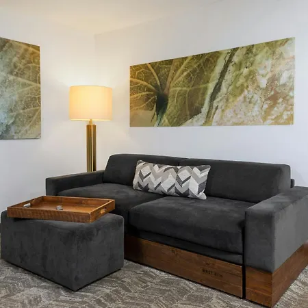 Springhill Suites By Marriott Sioux Falls-3