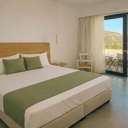 Zeus Eleva Miraya (Adults Only)-2