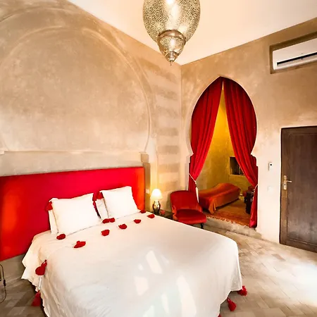 Riad Selouane-2