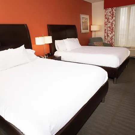 Hilton Garden Inn Springfield, Il-3