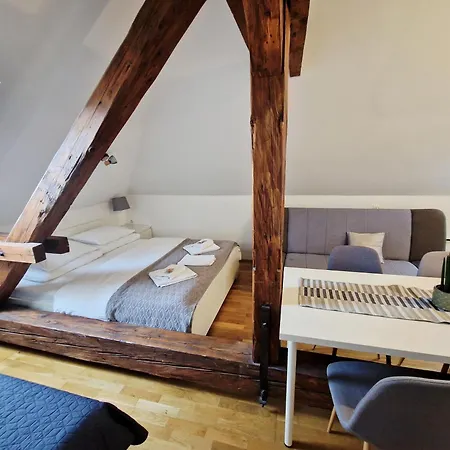 B&B Vila Teslova-2