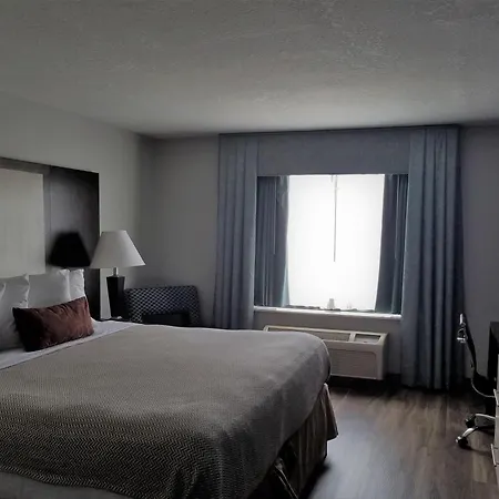 Wyndham Garden Hotel - Jacksonville-3