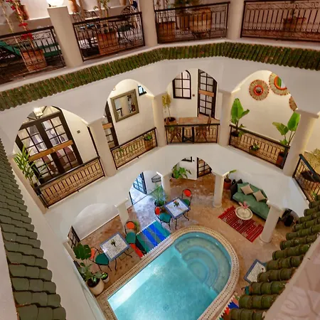 Riad Eldar-3