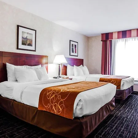 Comfort Suites Independence - Kansas City-2