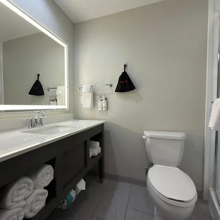 Holiday Inn Midland By Ihg-2