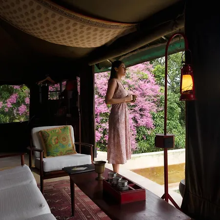Madulkelle Tea And Eco Lodge-3