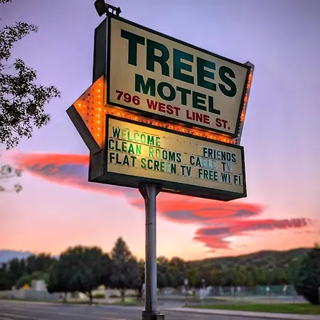 Trees Motel-3