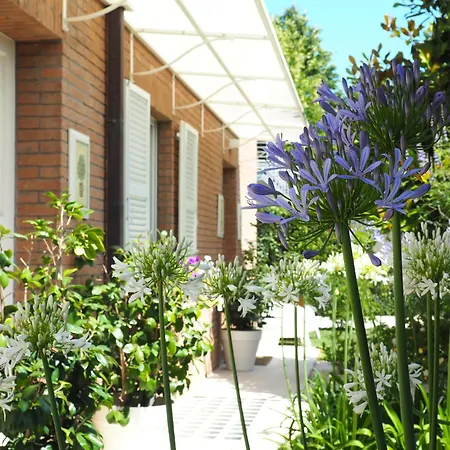 Aura Relais-3