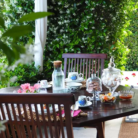 Aura Relais-2