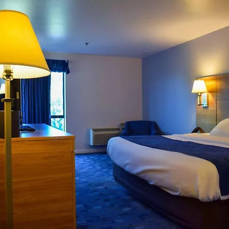 Comfort Inn Bellingham-2