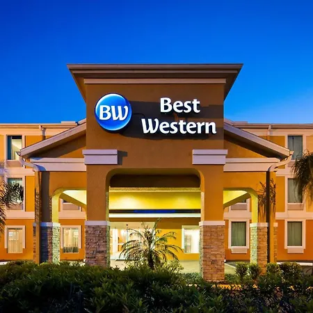 Best Western Wesley Chapel-3