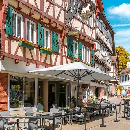 Hotel & Restaurant Lamm-3