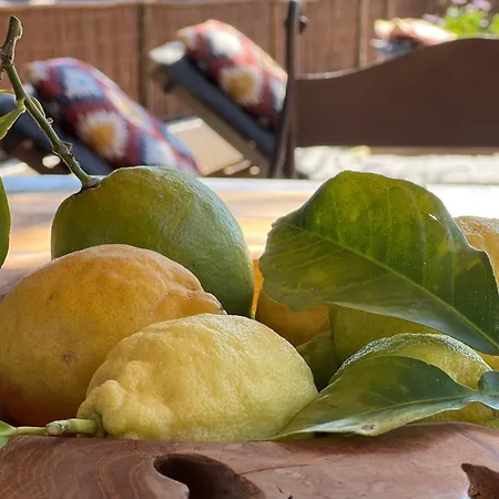 Boutique Finca Stay In Nature-2