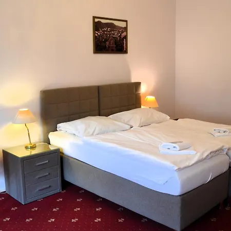 Hotel Palacky-3