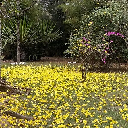 Pousada Ypê Amarelo-2
