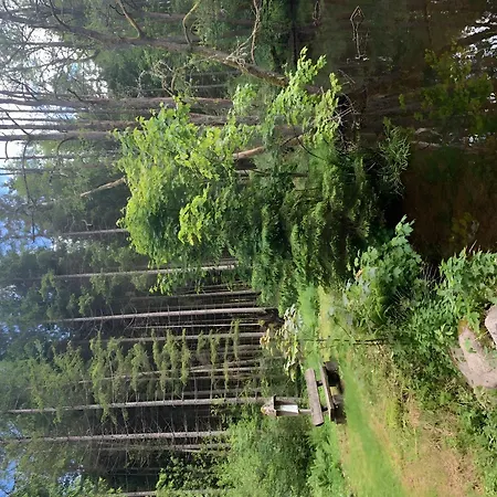 Pension Linde-3