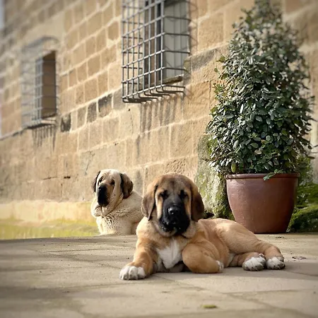 Castillo de Corvinos-2