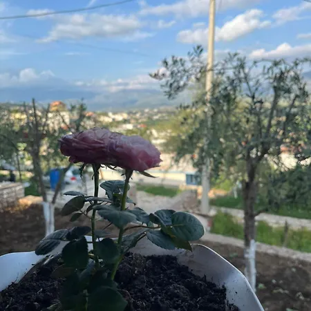 Vokopola Villa-3
