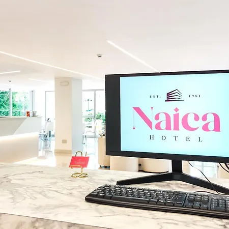 Hotel Naica-2