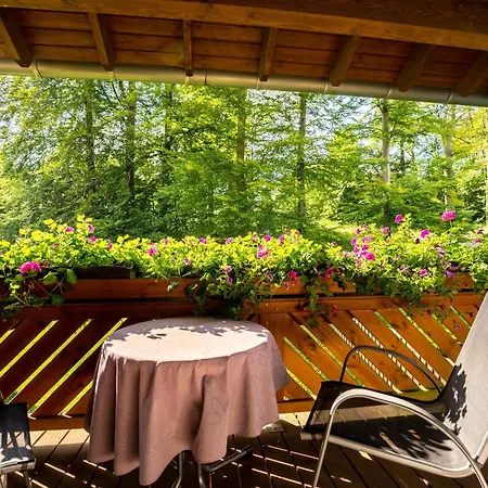 Waldhotel Kurfürst-2