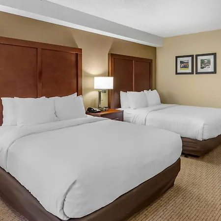 Comfort Inn & Suites Near Danville Mall-3