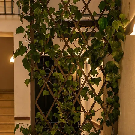 Casa Lavanda By Blossom Hotels-2