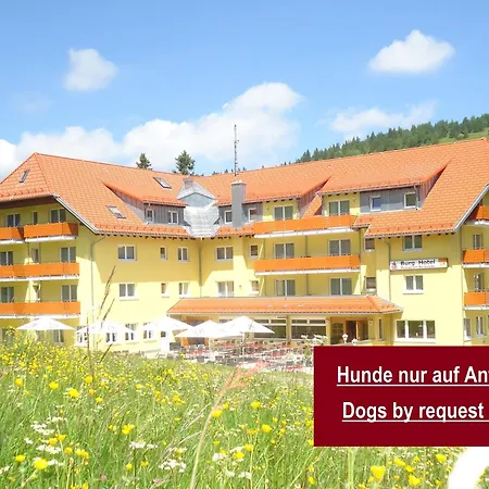 Burg Hotel Feldberg-3