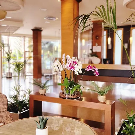 Hotel Costa Narejos-3