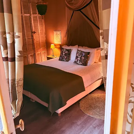 B&B Con Ampère-2