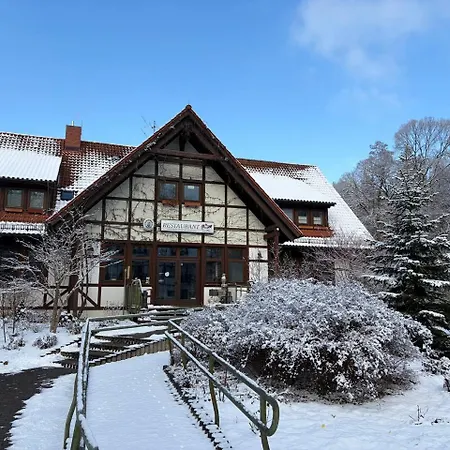 Neue Mühle Hotel&Restaurant-3