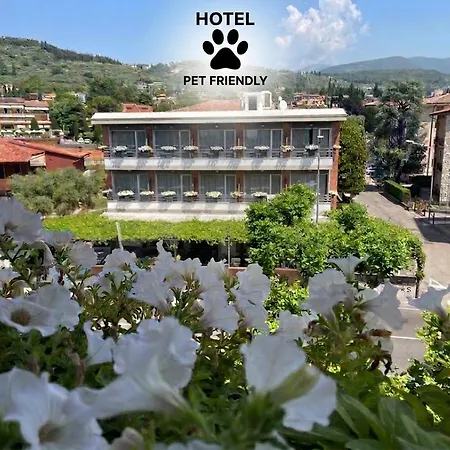 Hotel Benaco Garda ***S-3