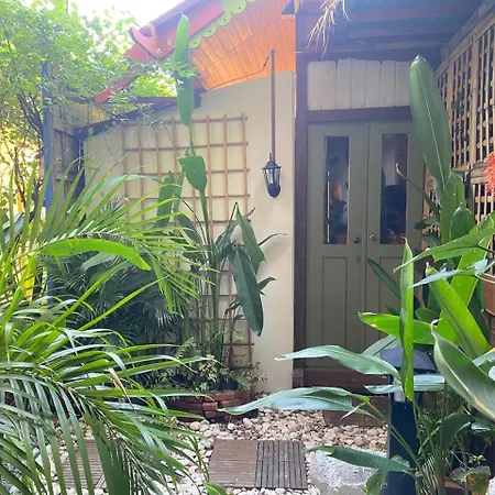 Bleu Verde, Self Healing Hotel & Ashram-3