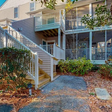 Sea Colony- 54010 Sand Dollar-2