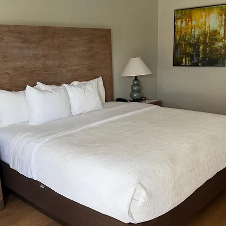 Quality Inn & Suites By The Parks-3
