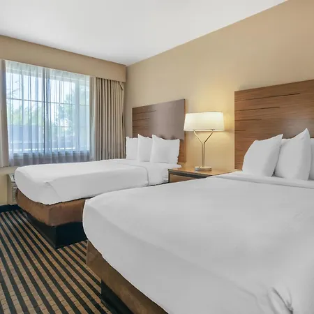 Best Western Town House Lodge-2