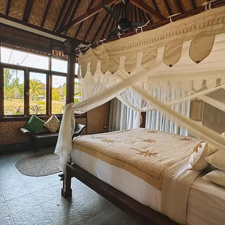 Bali Firefly Bnb-3