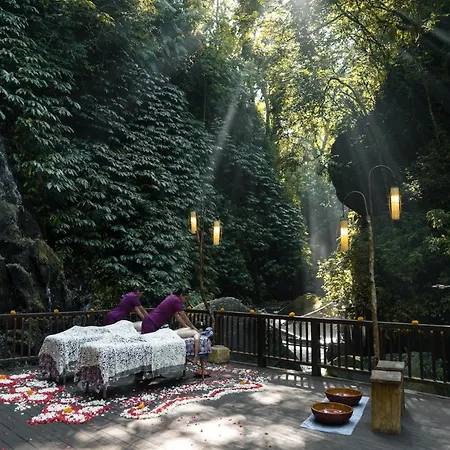 Nandini Jungle By Hanging Gardens-2