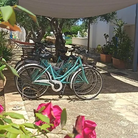 Signorino Resort-3