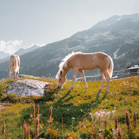 Chalet Obergurgl Luxury Apartments-2