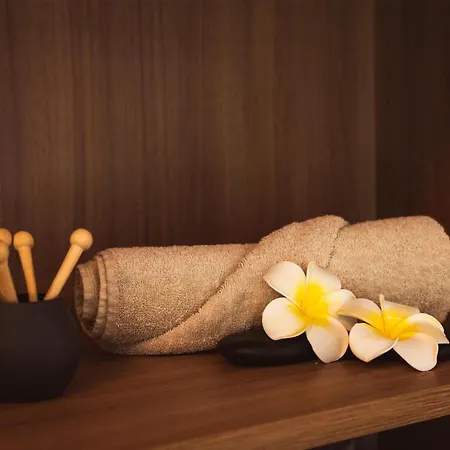 Relais De La Malmaison Paris Rueil Hôtel-Spa-2