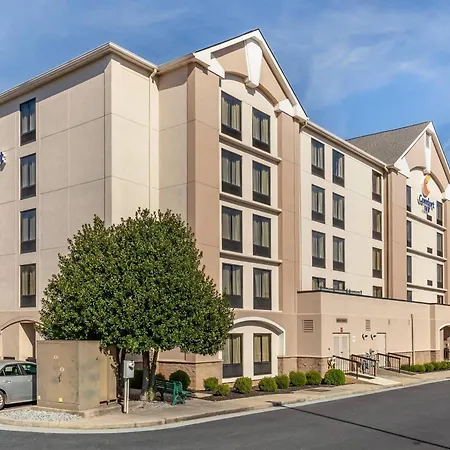 Comfort Inn Greensboro - Kernersville-3