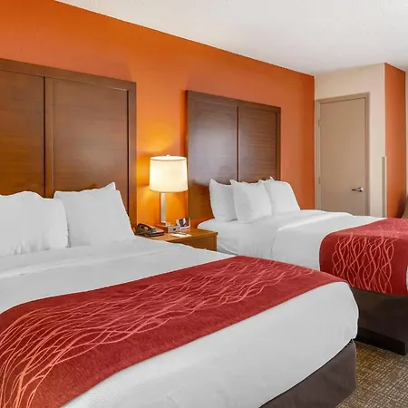 Comfort Inn Greensboro - Kernersville-2