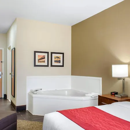 Comfort Inn & Suites Covington - Mandeville-2