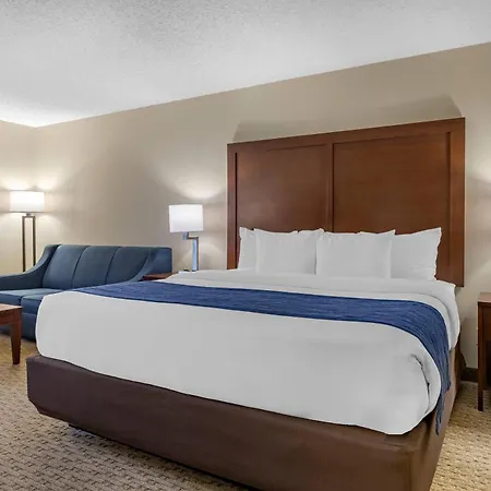 Comfort Inn Near Greenfield Village-3