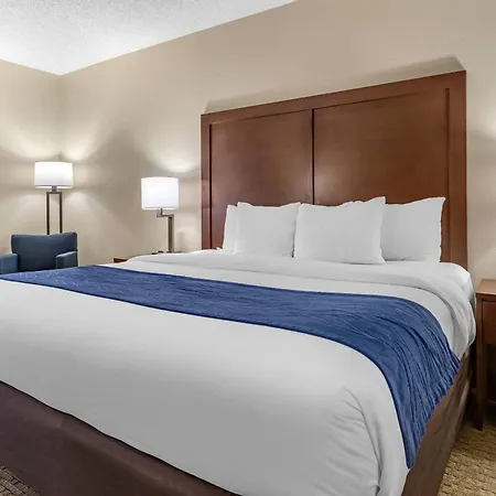 Comfort Inn Near Greenfield Village-2