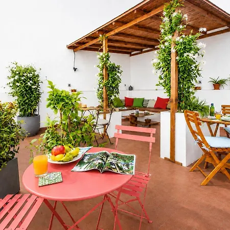 City Garden Bed And Breakfast-3